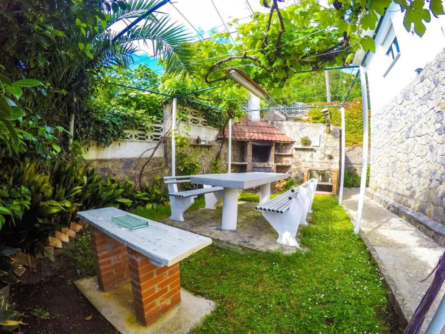 Black Shark Surfhouse