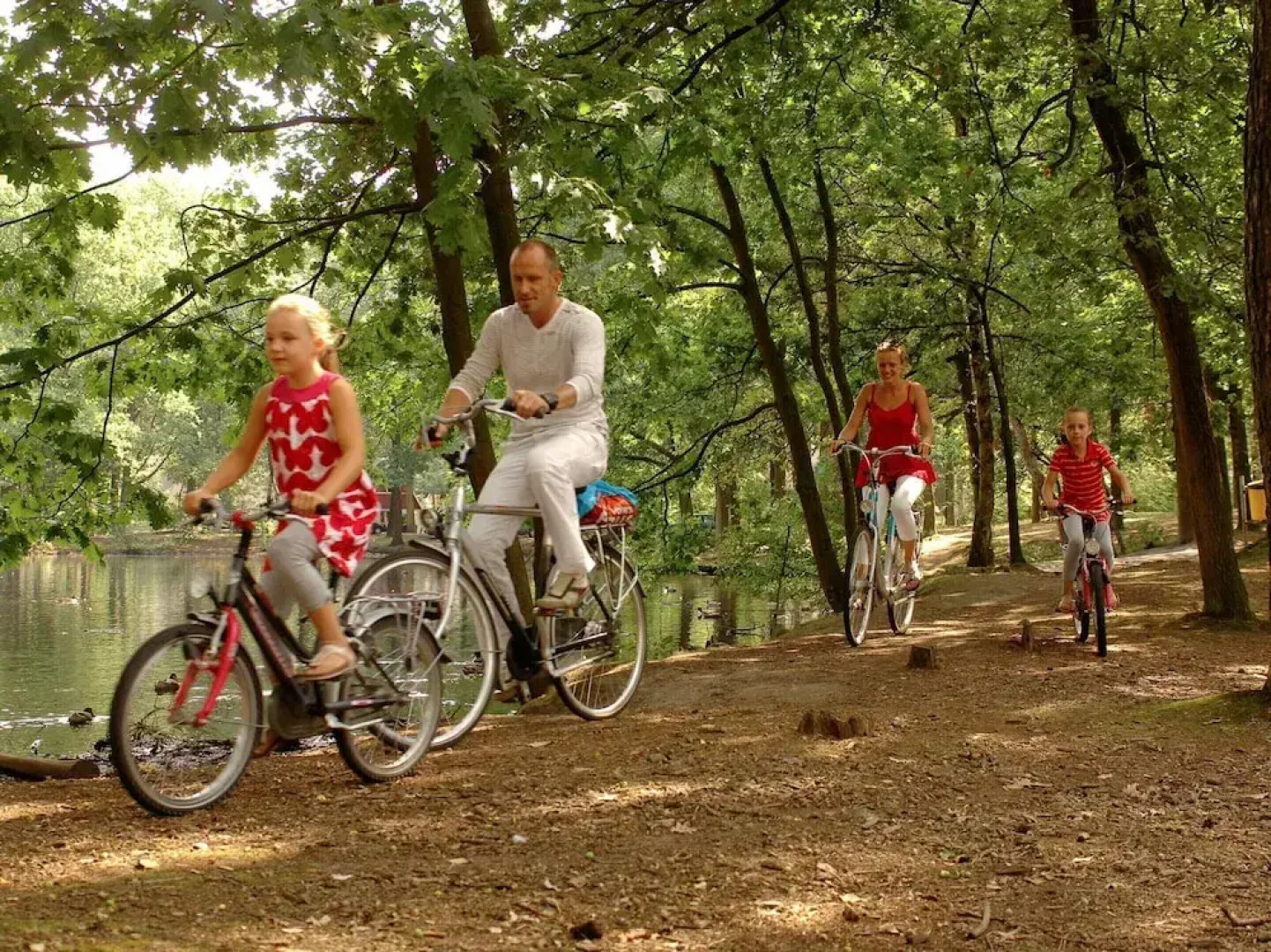 Bungalow in Bospark 't Wolfsven Near Nature