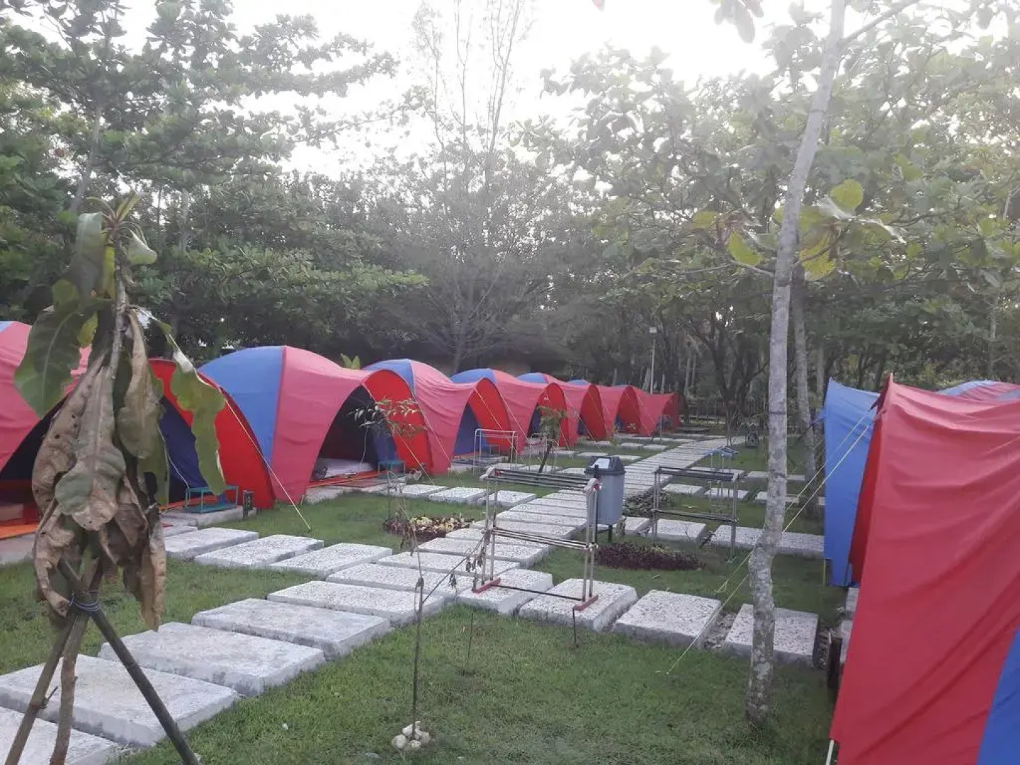 Green Coral Tanjung Lesung