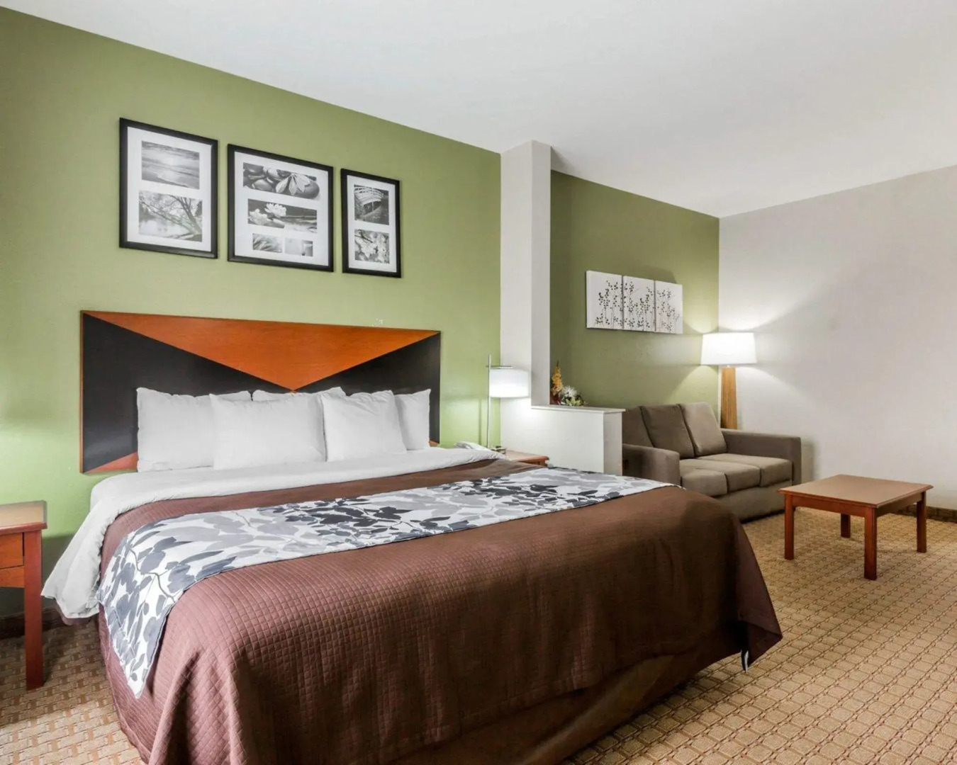 Sleep Inn & Suites Millbrook - Prattville