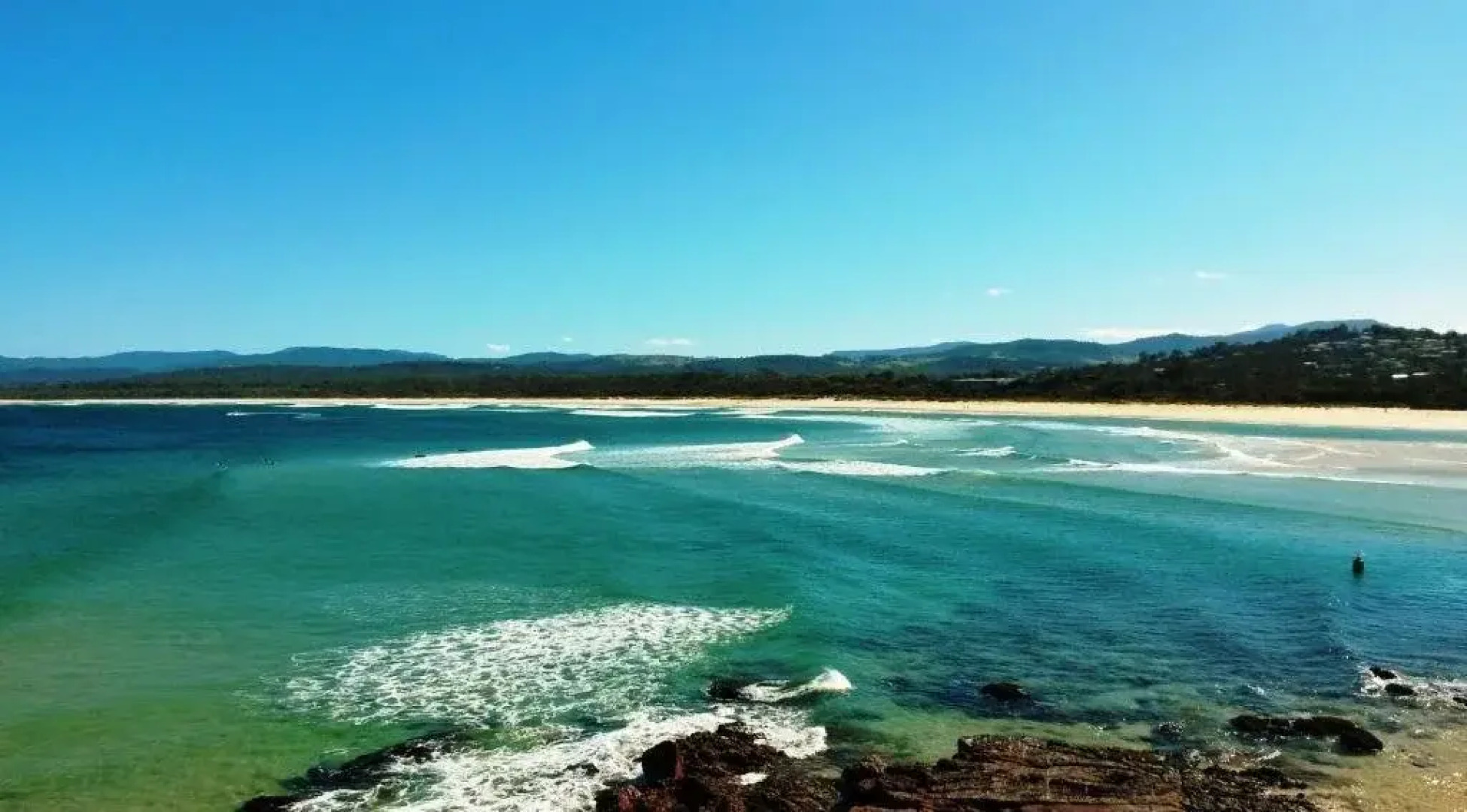 Beachcomber Pet Friendly