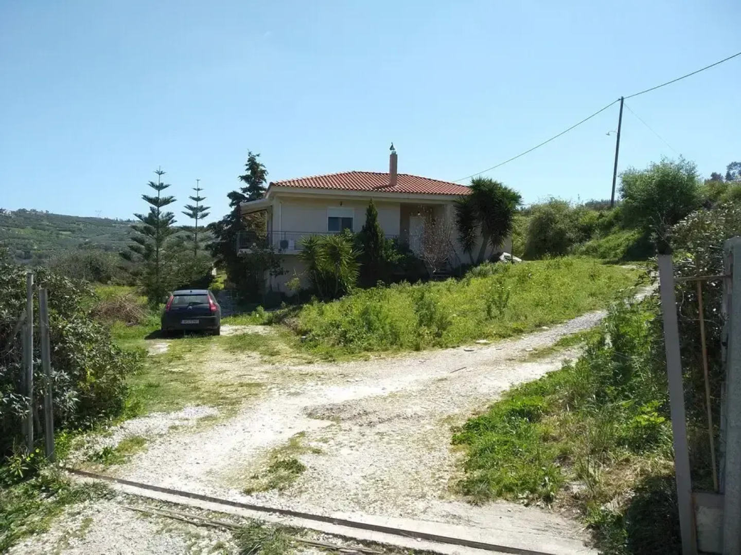 Fifty Shades of Green