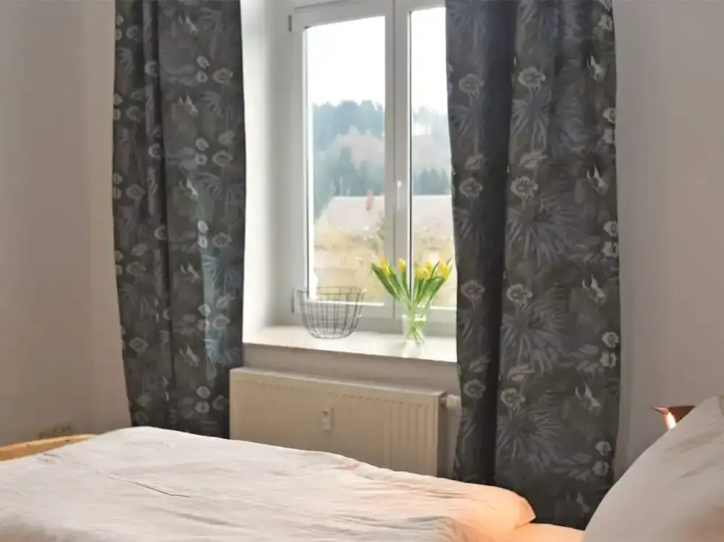 Apartment in Ore Mountains Near Hiking Trails