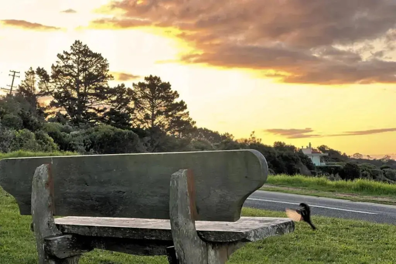 Waiheke Backpackers Hostel