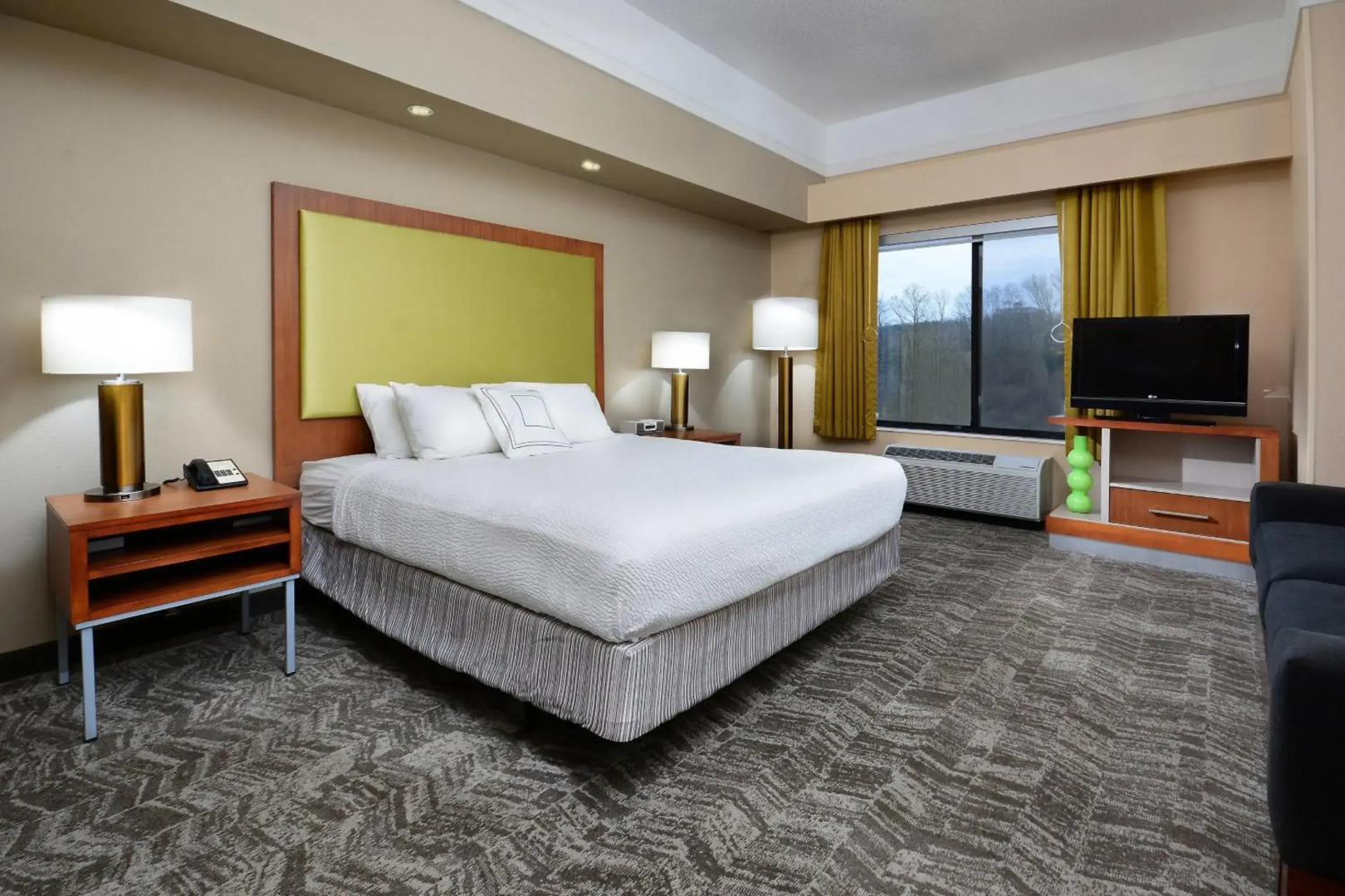 SpringHill Suites by Marriott Lynchburg Airport/University Area