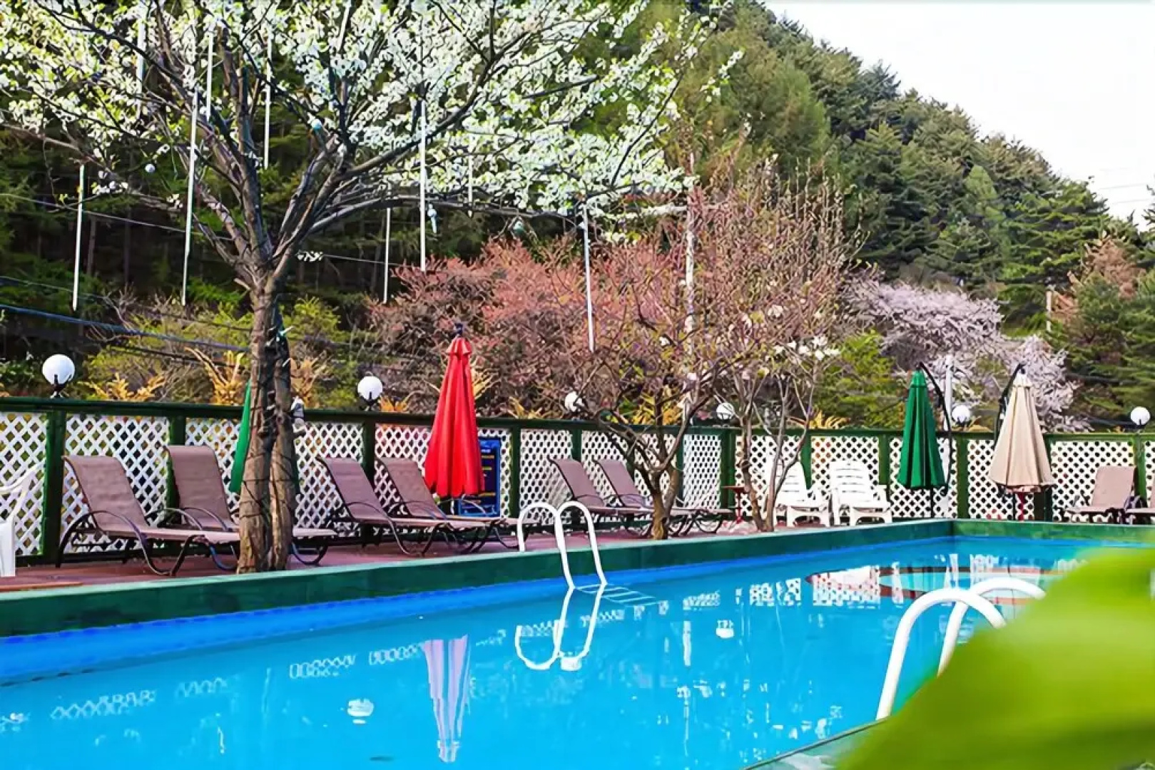Jeongseon Attrie Amitie Pension