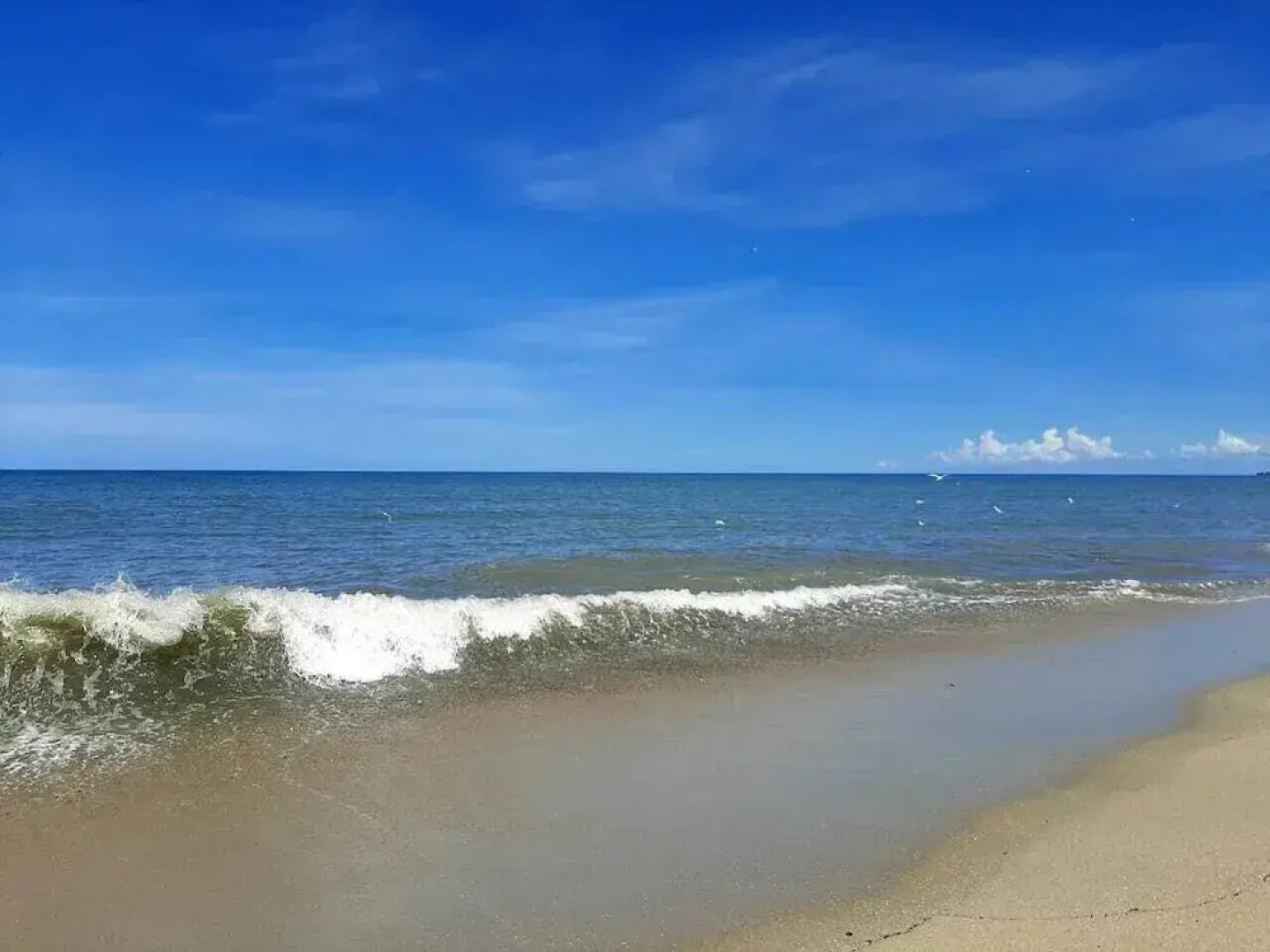 Ecogarden Cabañas Ecologicas