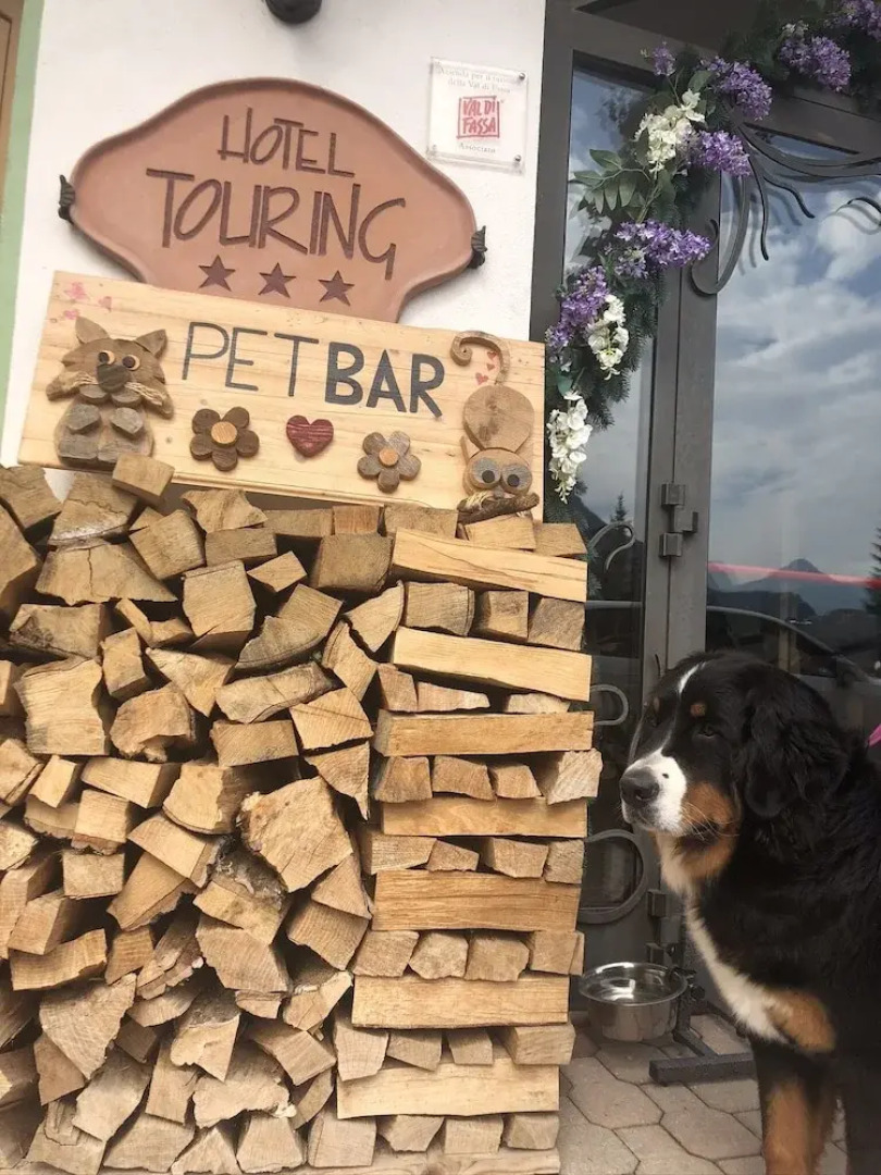 Alpine Touring Hotel