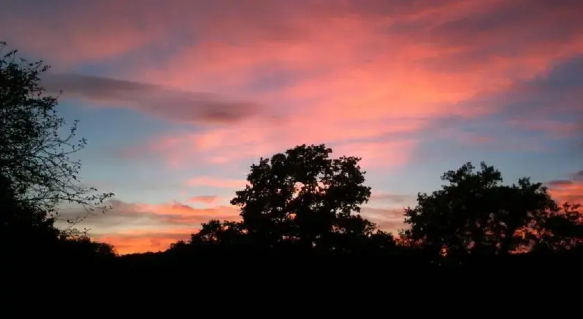 The Shepherds Return