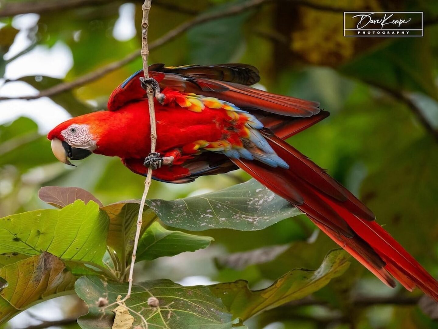 Classy artsy ocean-view unit near pool at Pacifico in Coco sleeps 6