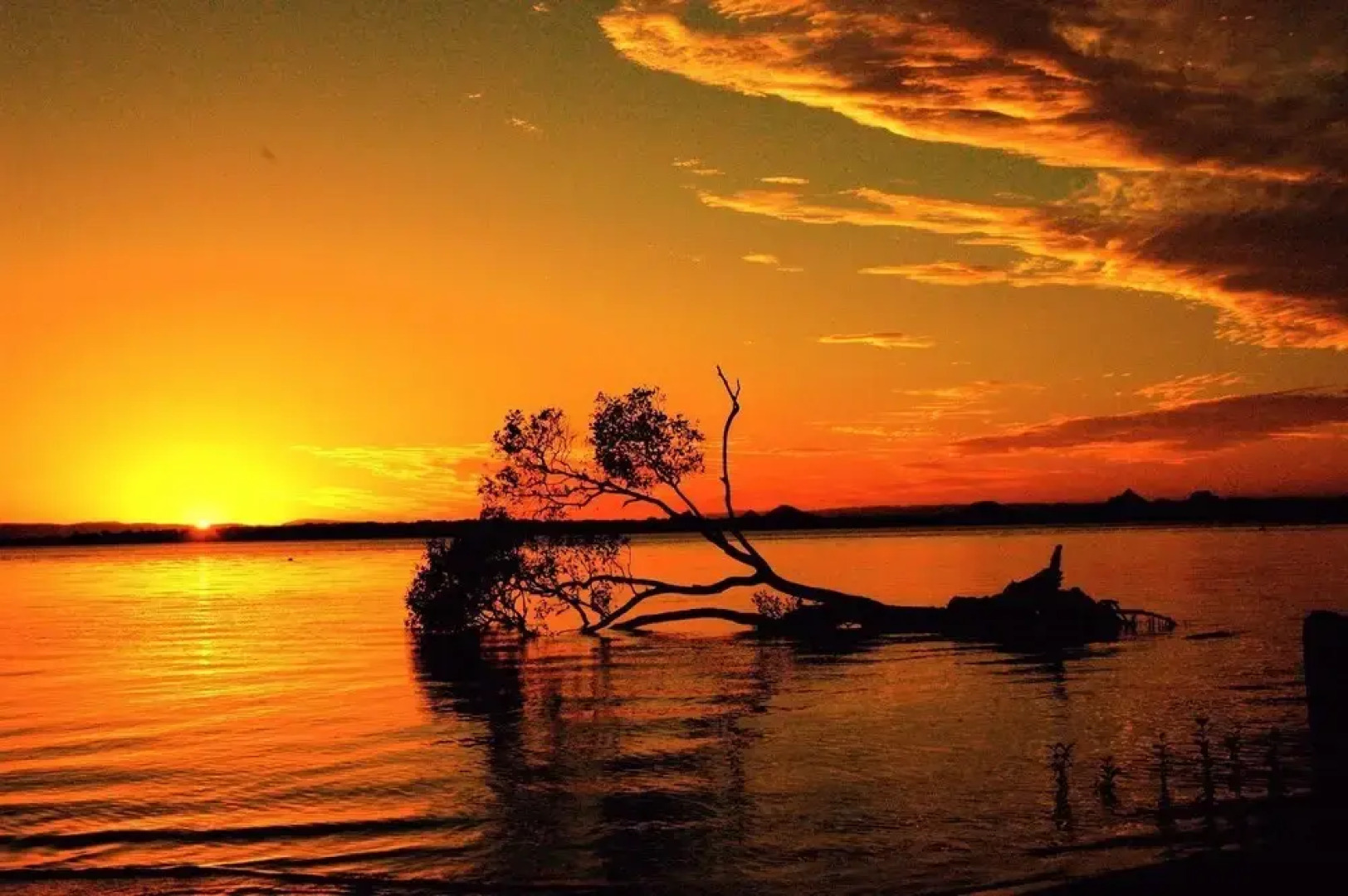 Waterviews,Pool, Wifi its all here !- Welsby Pde, Bongaree