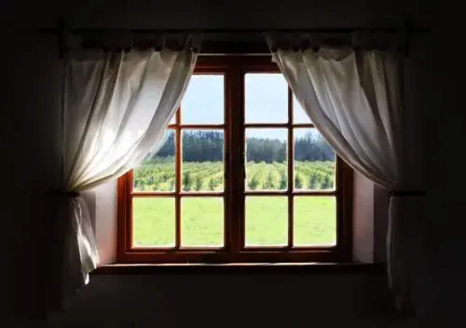 Rotterdam Boutique Hotel