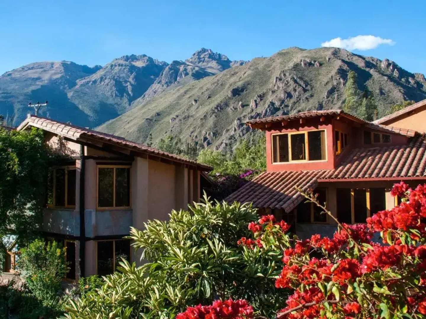 Willka T'ika Essential Wellness