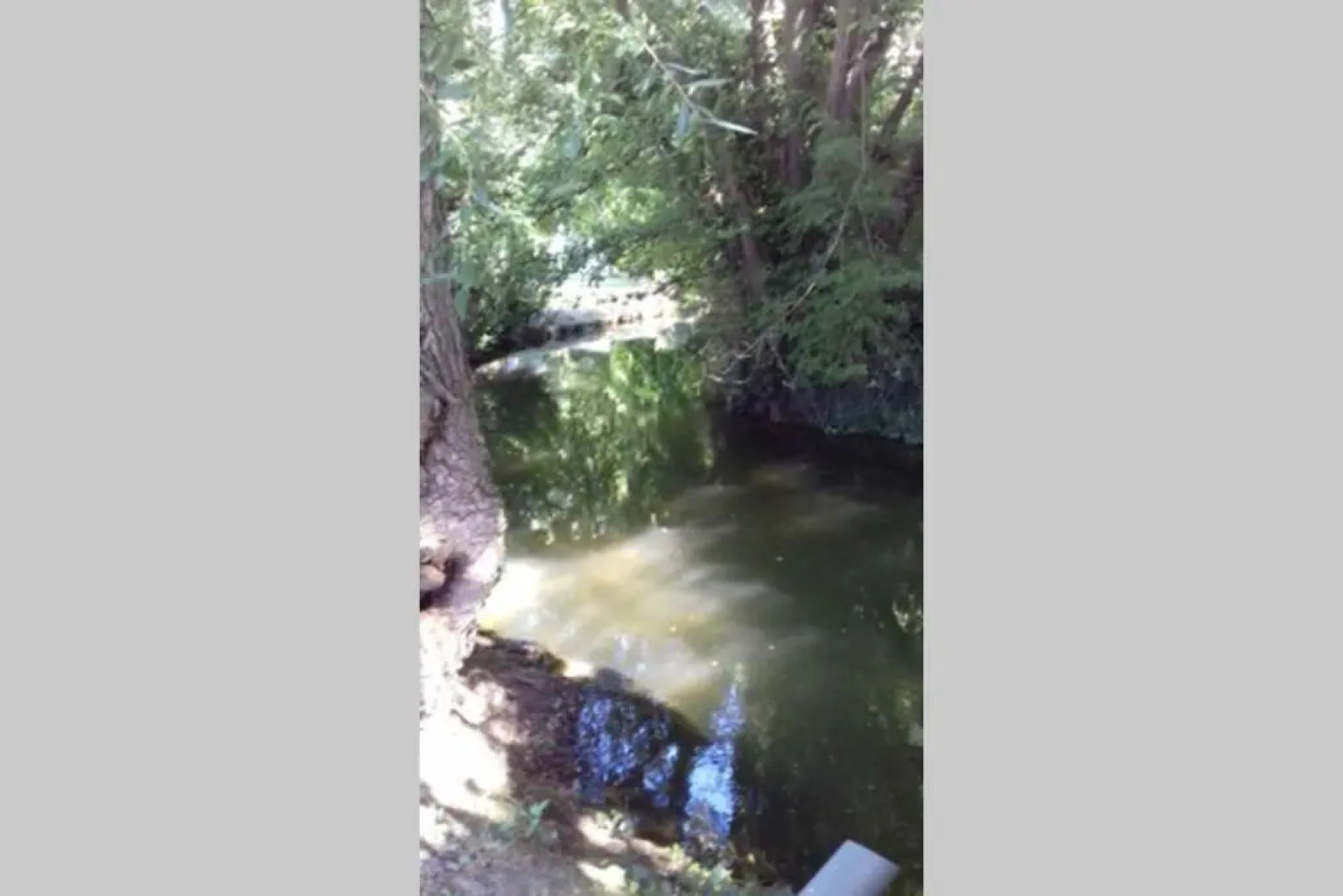 Le cocon de Sausheim et sa table de massage