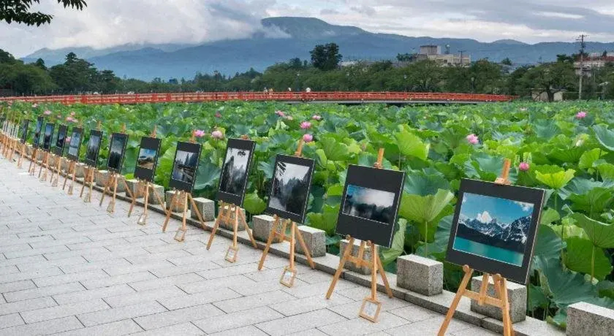 Natureling Hotel KomeHonjin