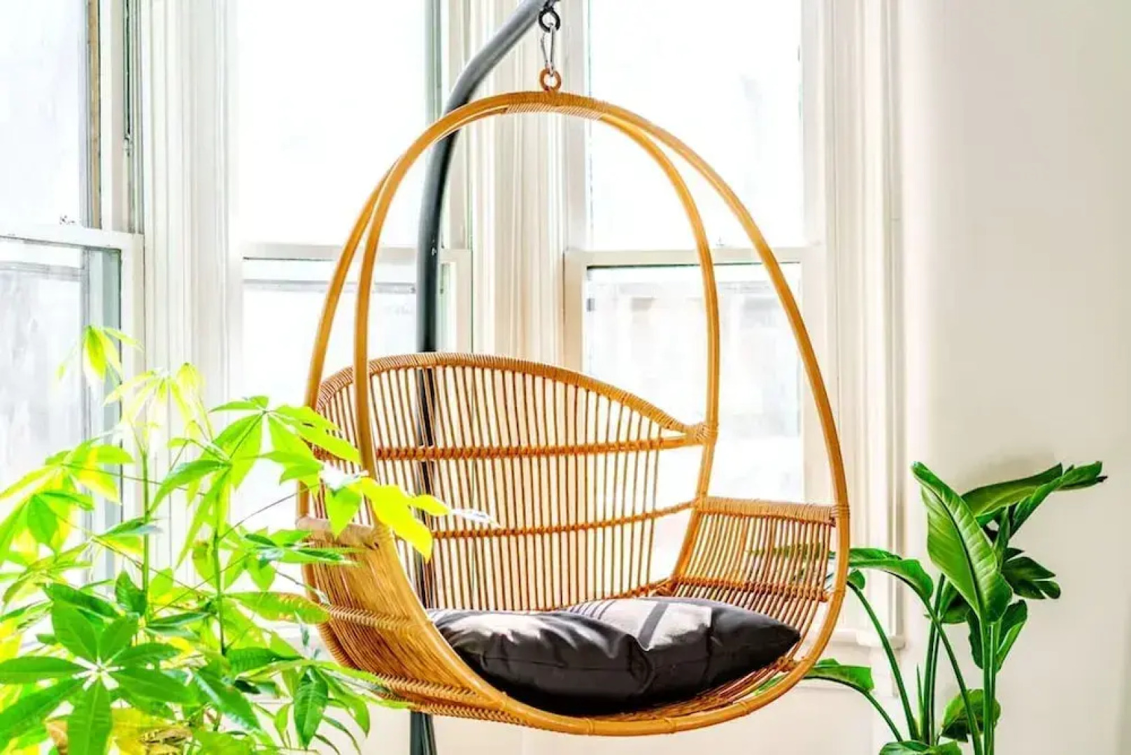 Prime Location Clean Top Rated Free Parking