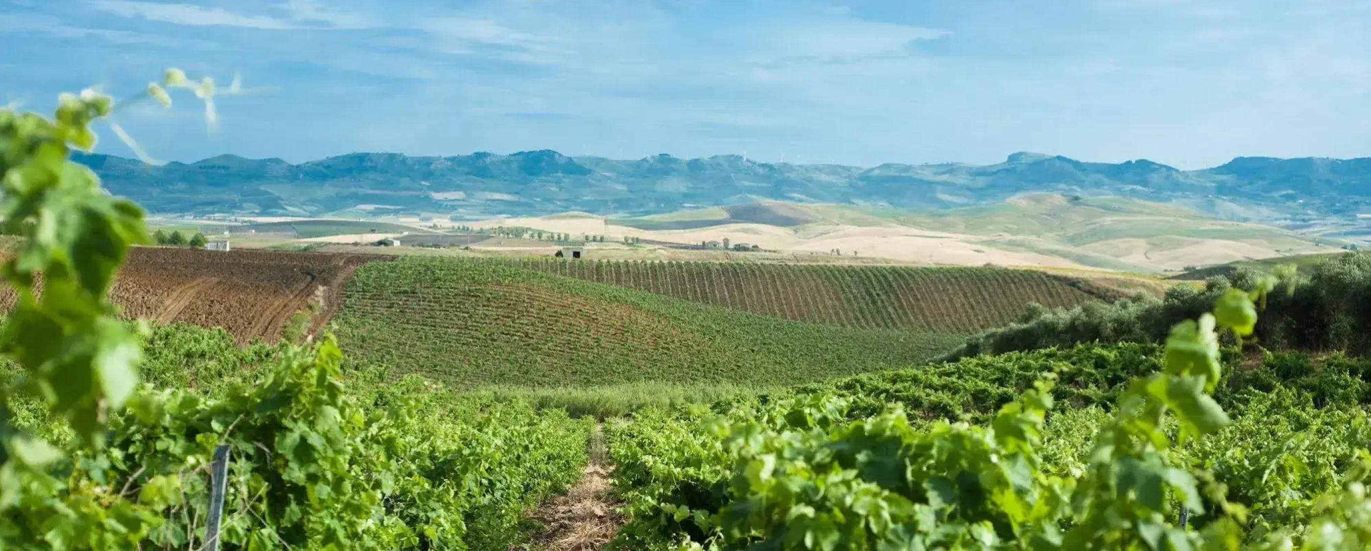 Agriturismo Sirignano Wine Resort