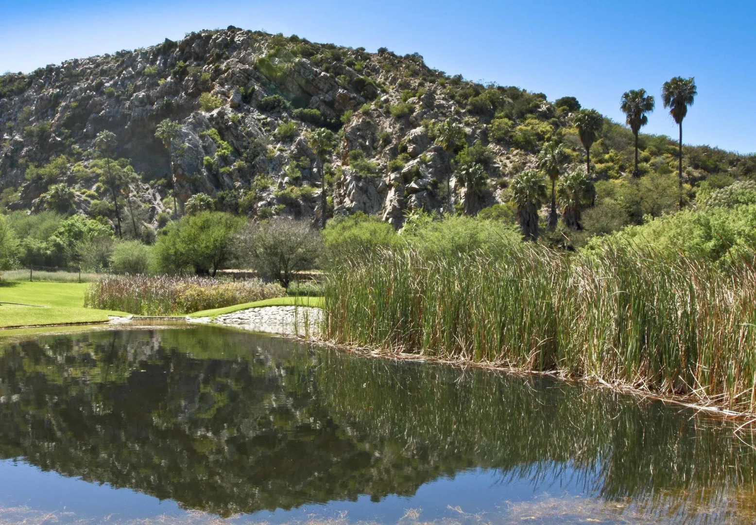 Montagu Vines Guest House