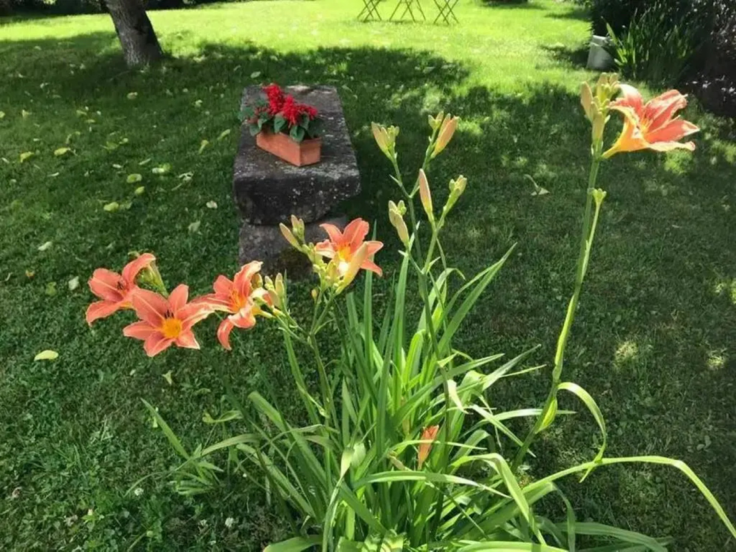 Gîte de la Mésange