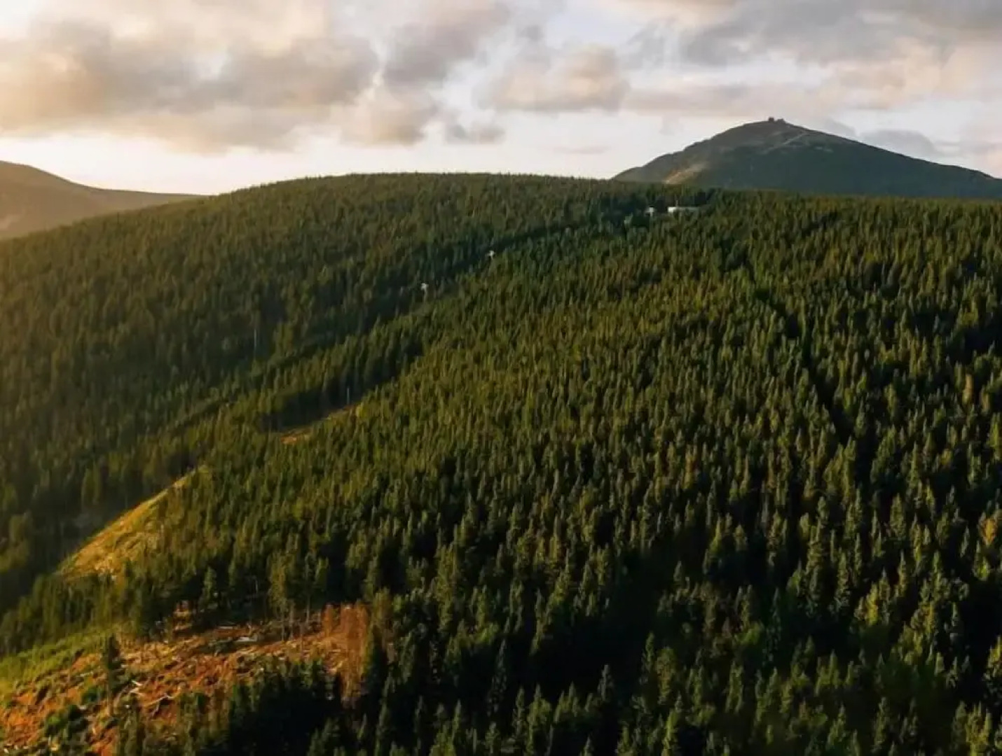 Hotel Bergwirtschaft Bieleboh