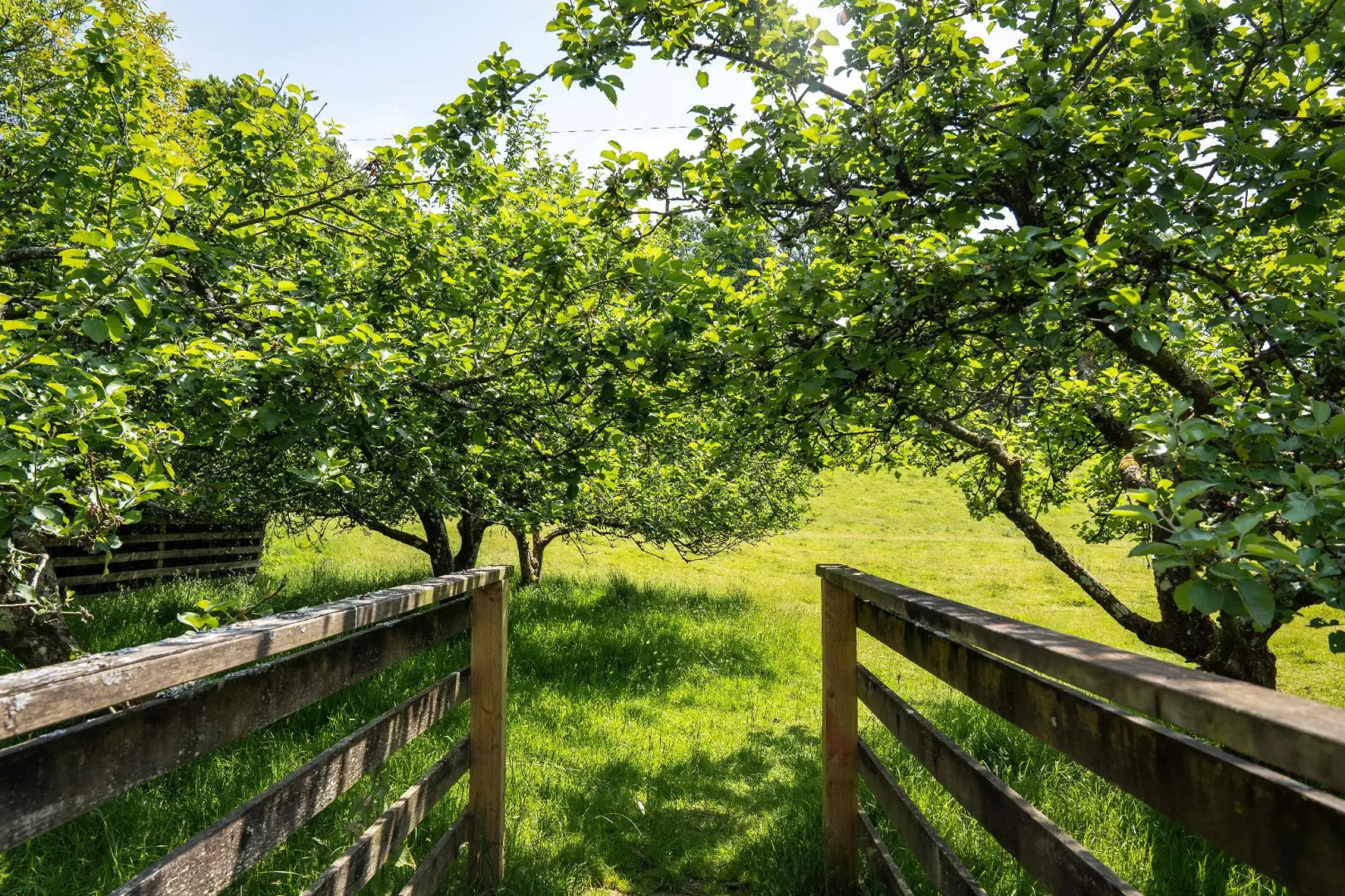 Enchanted Retreats at West Ford Devon