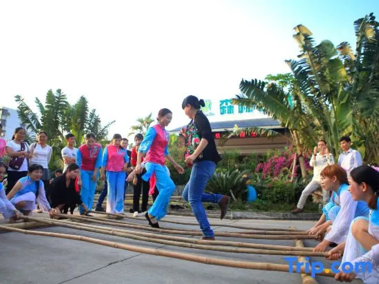 Forest Inn (Hainan University, Zhangzhou Botanical Garden Thermoscience Academy)