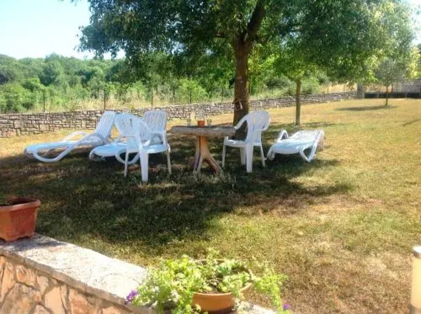 Guesthouse Casa Barbaro