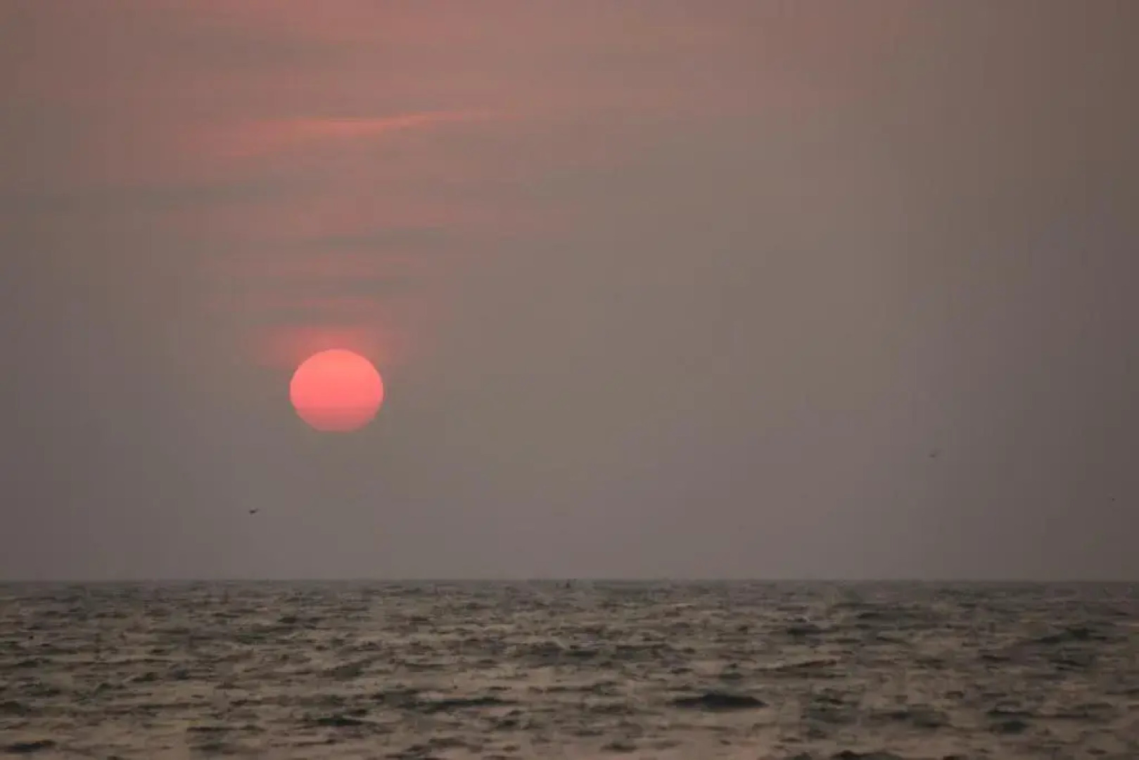 Marari Edens Sea View House