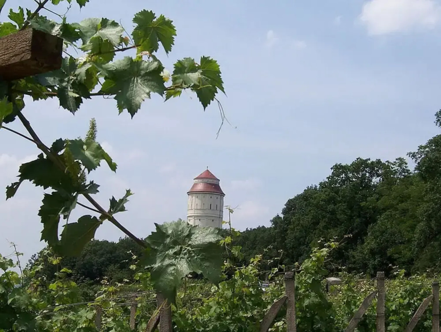 "weinberg Uitzicht" in het Felix Huis