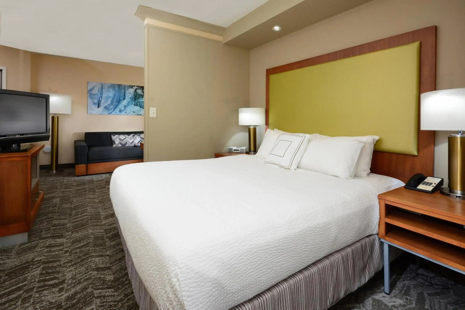 SpringHill Suites by Marriott Lynchburg Airport/University Area