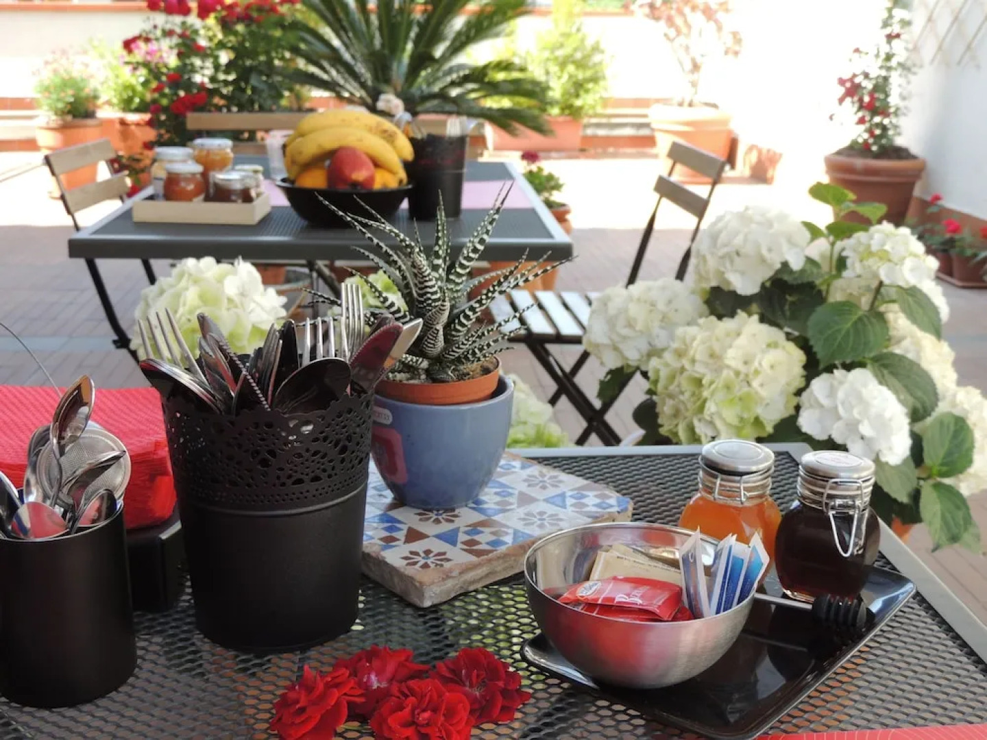 B&B il rosso e il nero