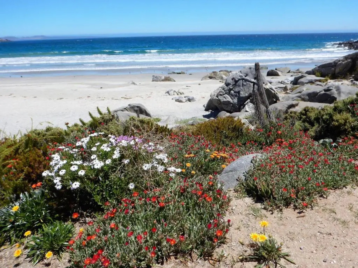 Departamento Puerto Velero Angelica