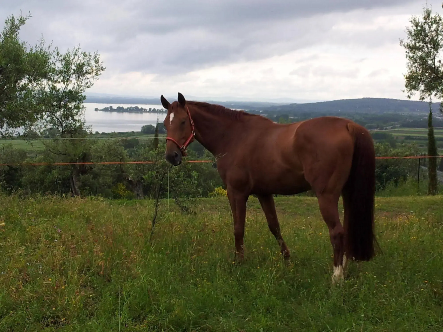 Antico Casale Tiravento