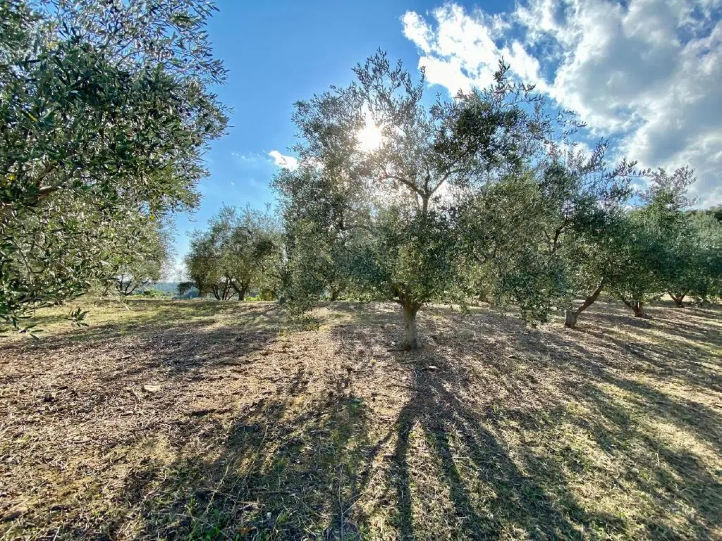 Villa vue mer dans nature protégée, plage à 1,5 km