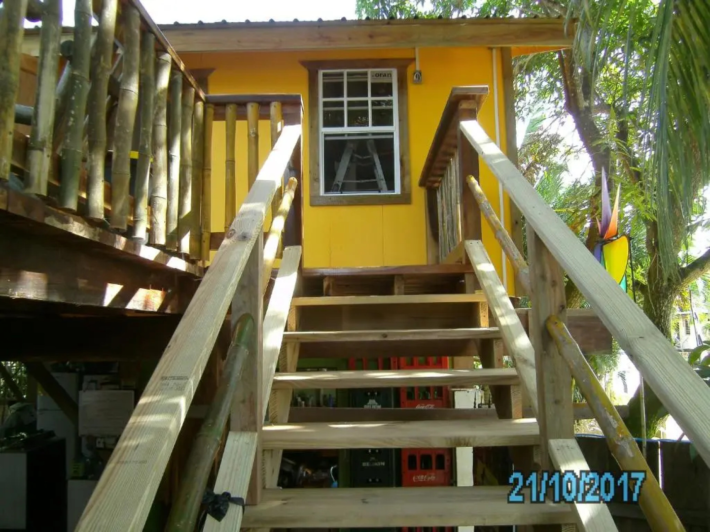 The Funky Dodo Backpackers Hostel