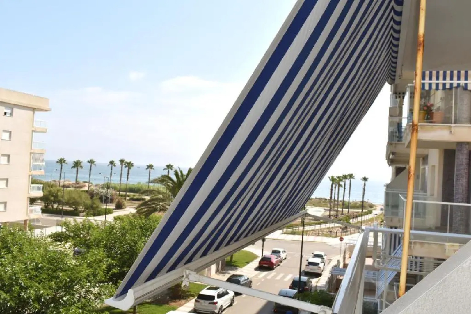 Romántico Daimús 2