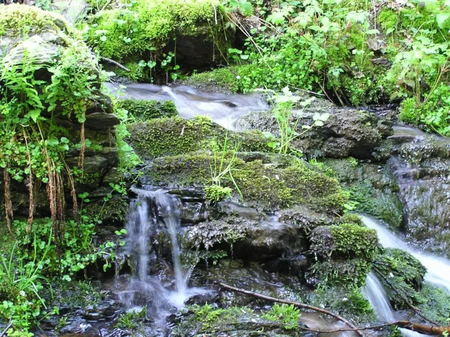 Pension Zum alten Rathaus