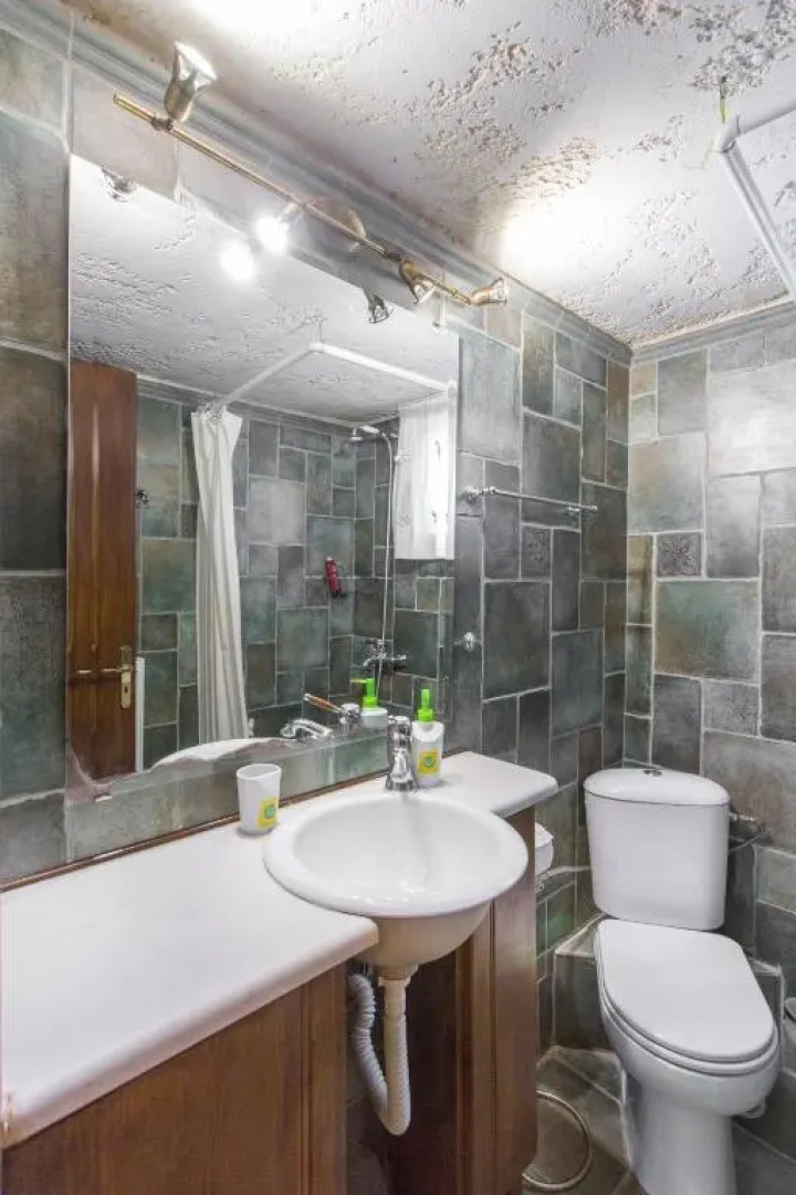 Turdus Merula Retreat