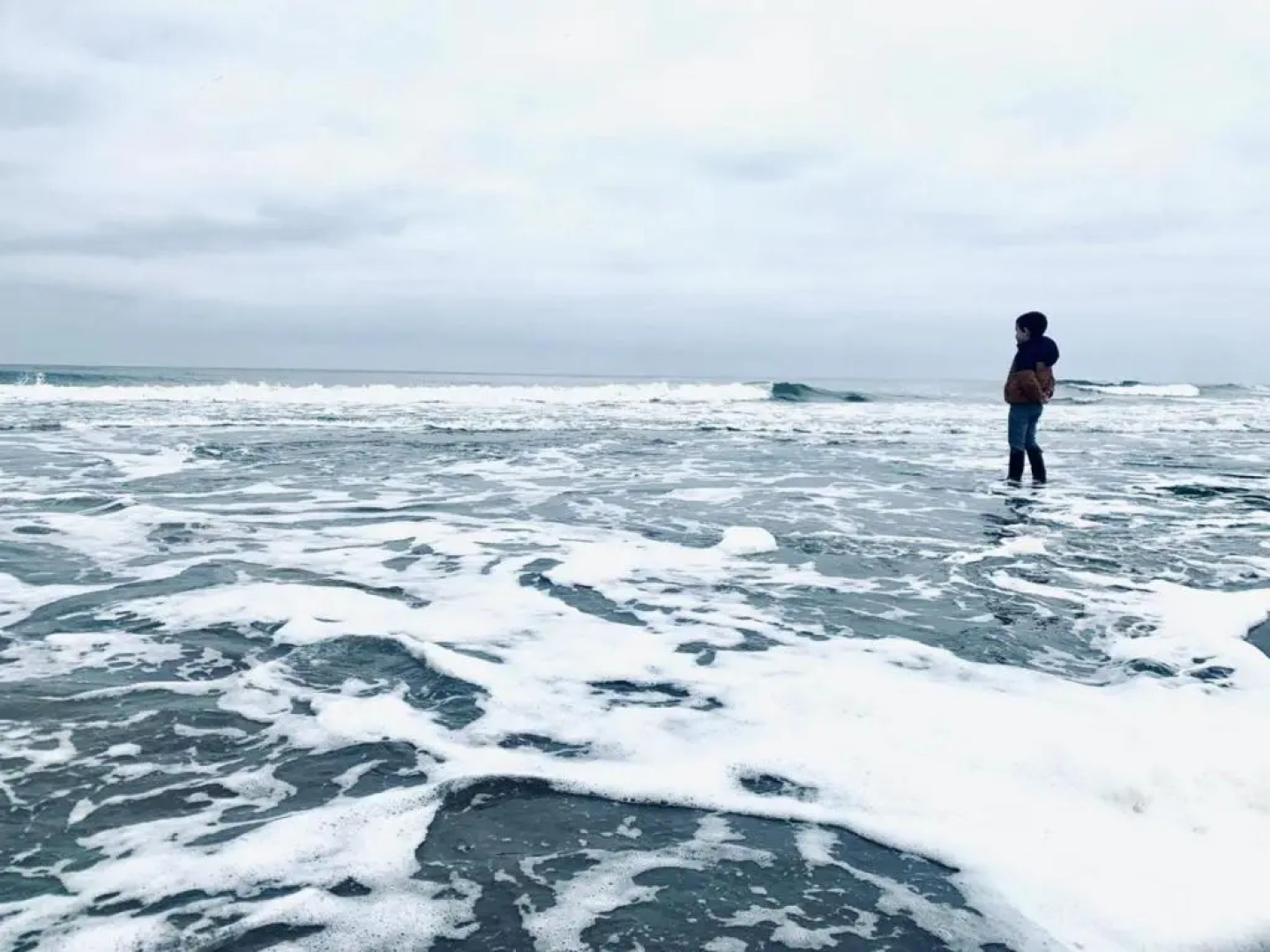 Gîte Ambleteuse, 3 pièces, 4 personnes - FR-1-376-57