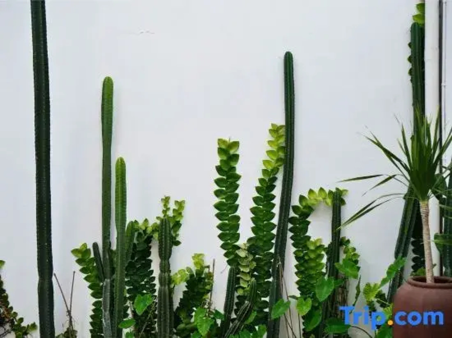 The Mangkoro By Yuwono Hospitality