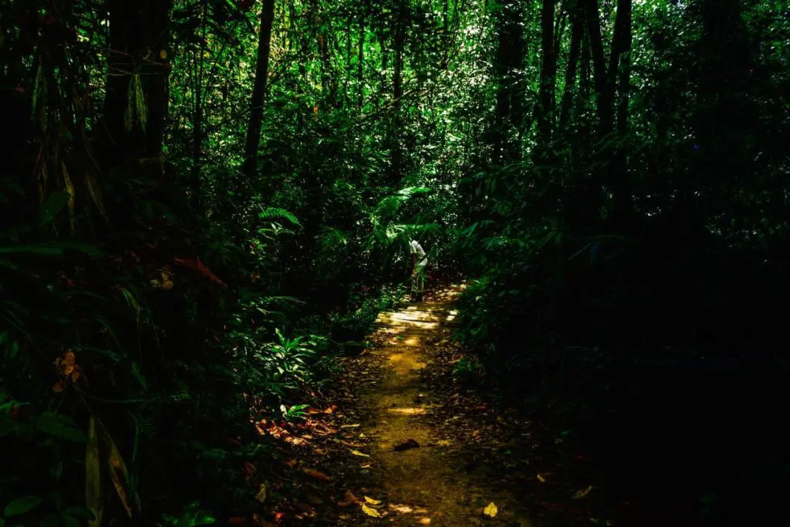 Lavenro Hotel & Resort