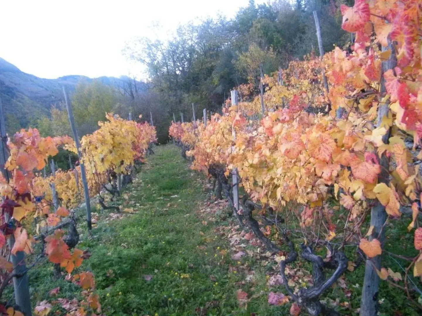 Albergo Santo Spirito