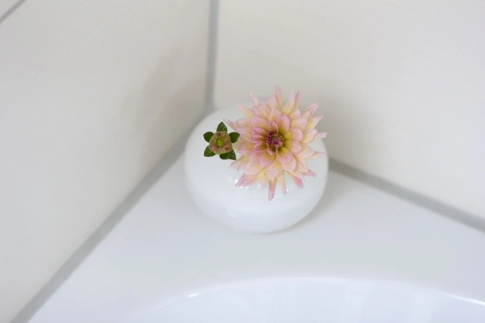 Ringelnatz & Lichtwer-Ferienwohnungen