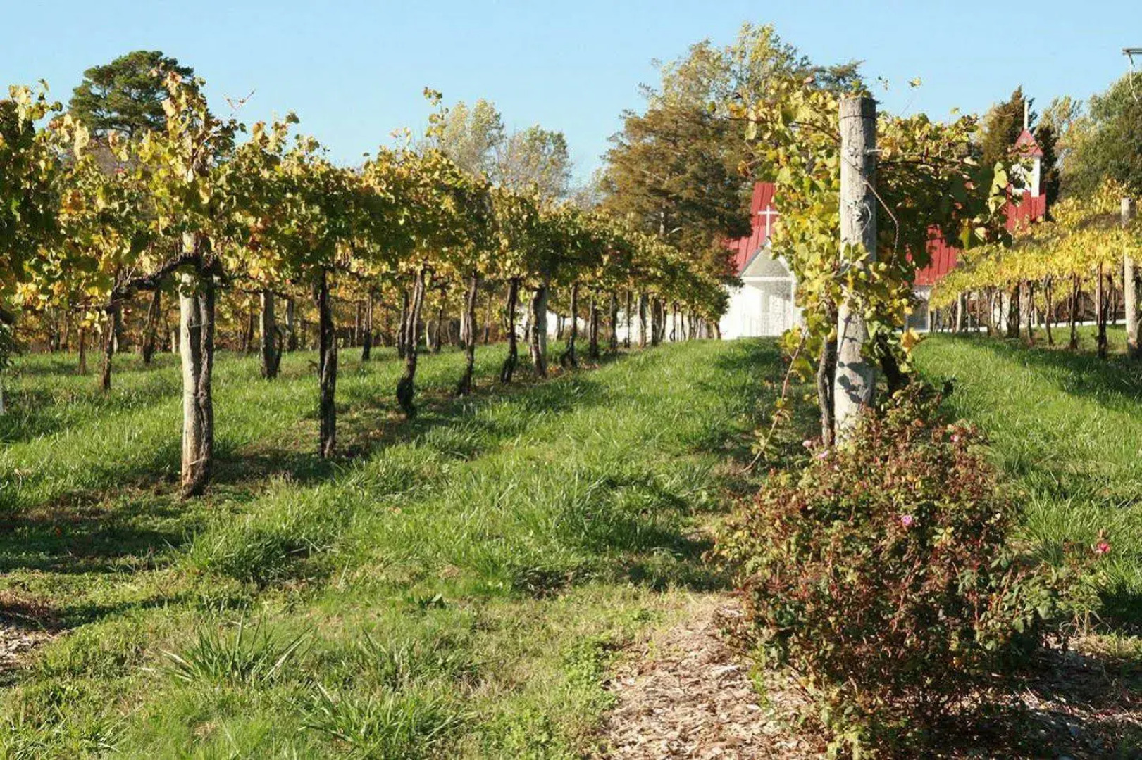 Hampton Inn & Suites Charlottesville-At the University