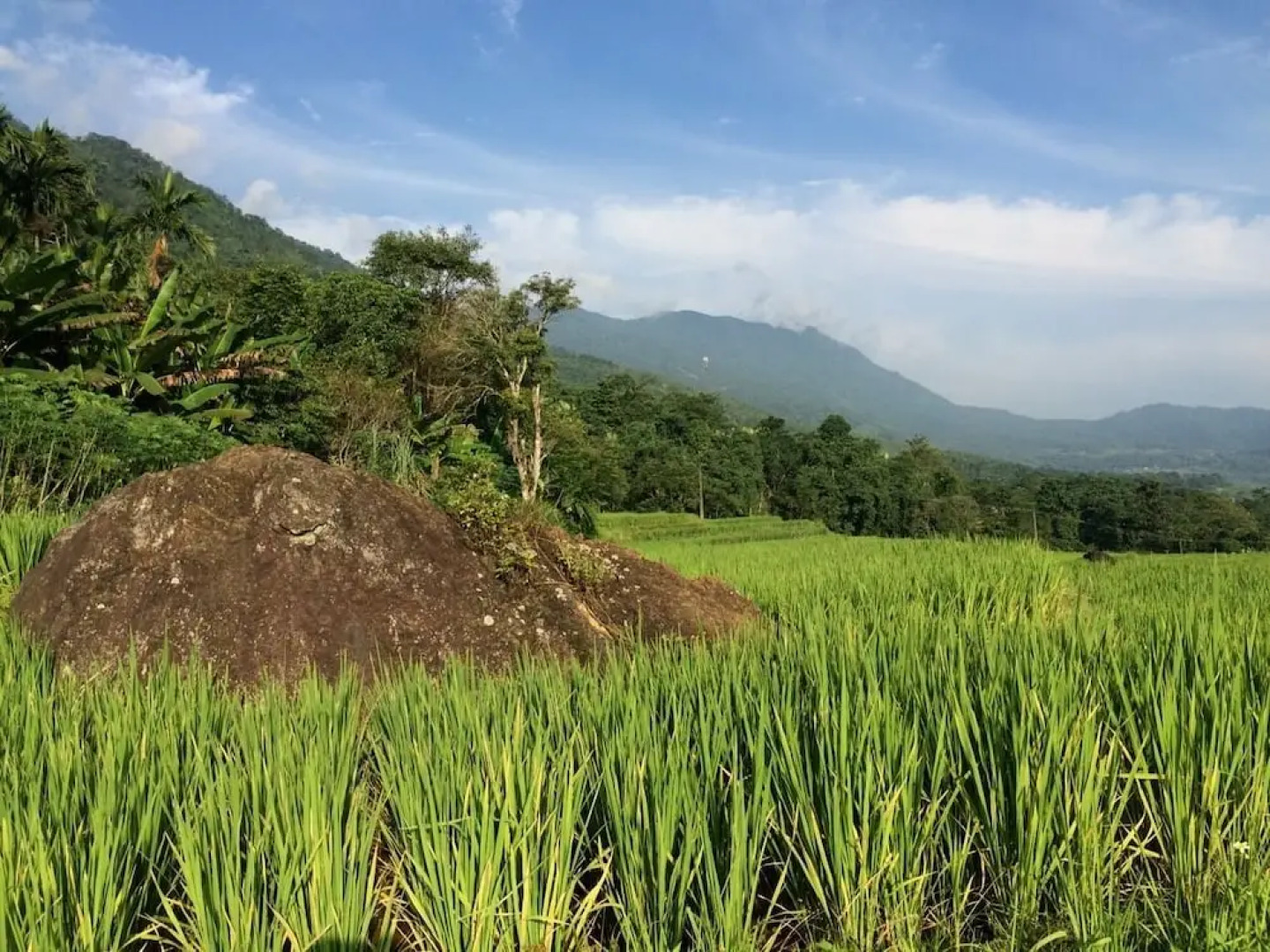 Resort Pù luông Boutique Garden