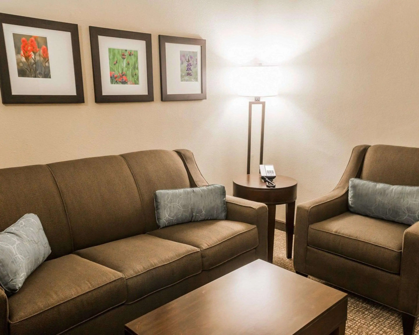 Comfort Inn & Suites Pharr - McAllen