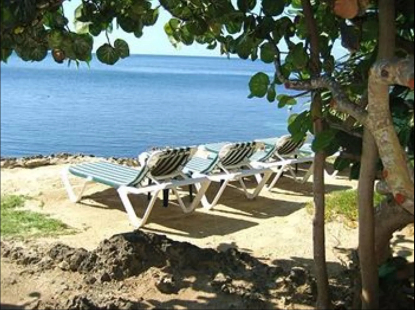 Las Rocas Resort And Dive Center
