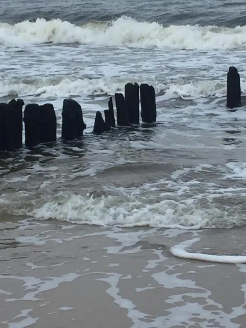 Apartament 27 Dwie Sosny