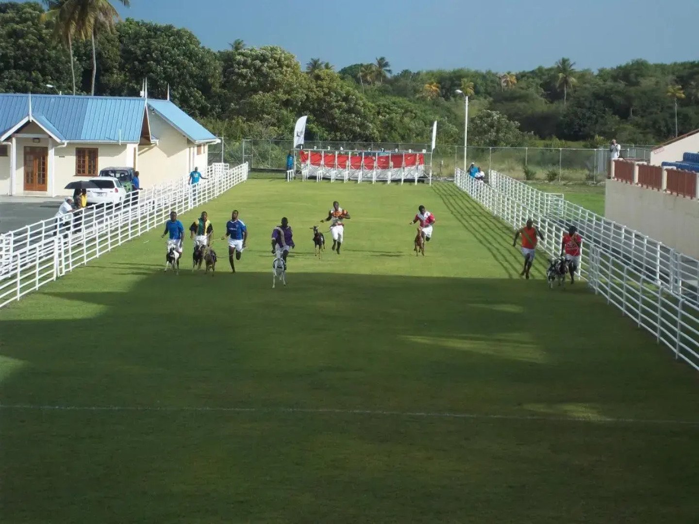 Reef View Apartments