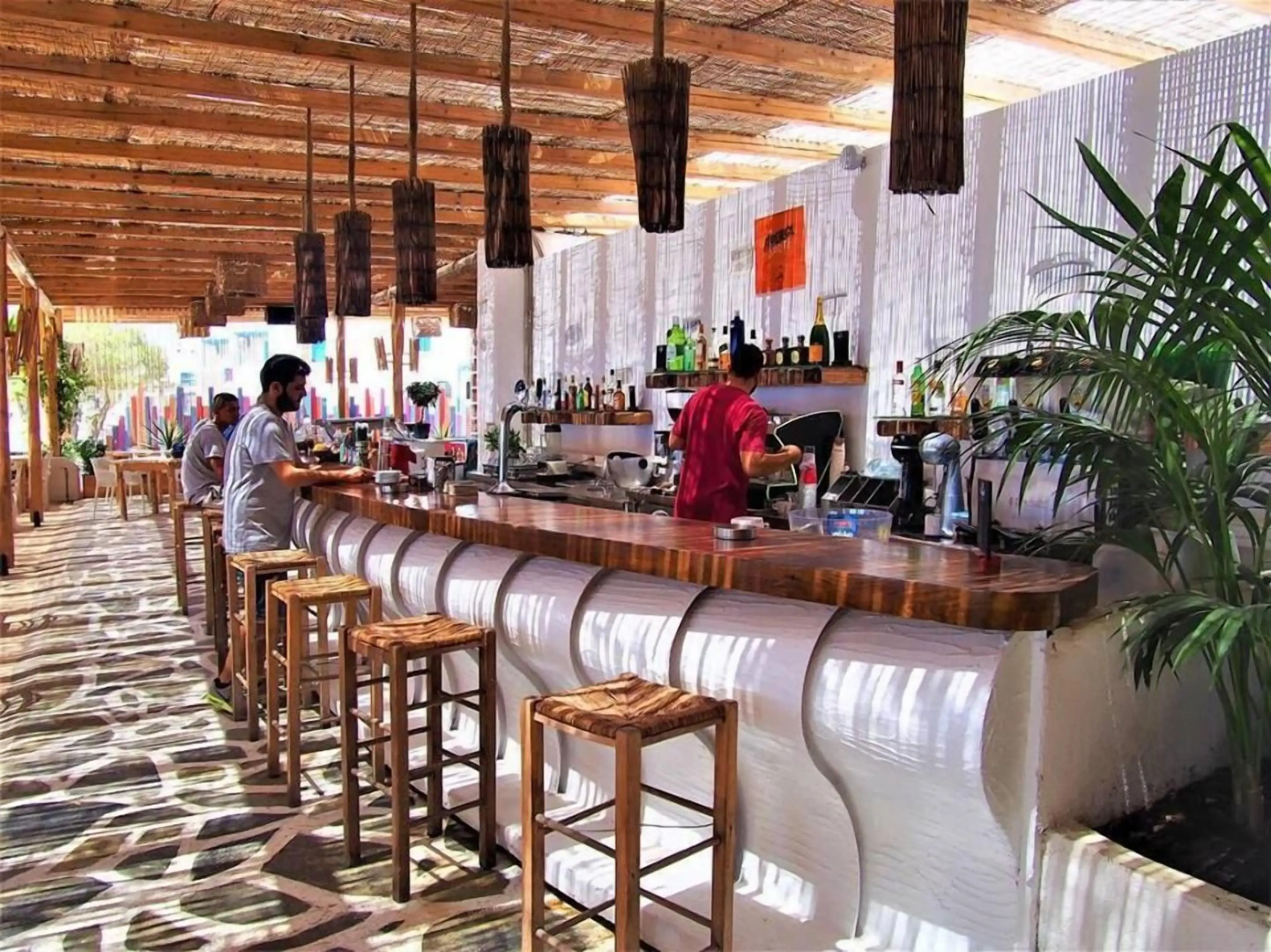 cactus beach paros
